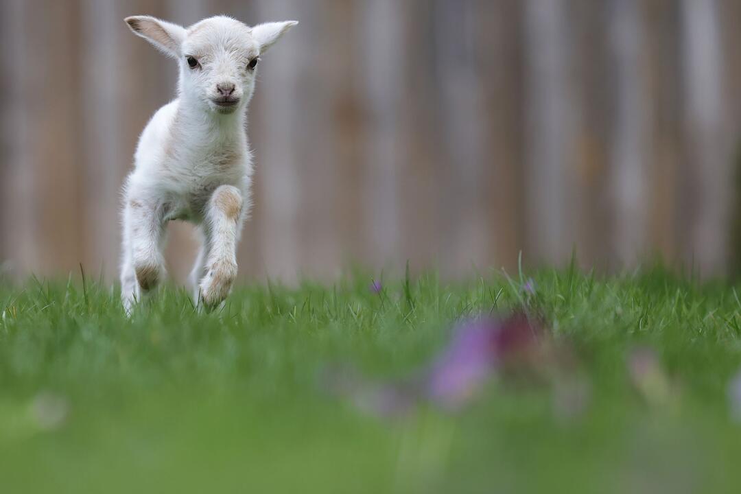 Wetter in Baden-W&uuml;rttemberg