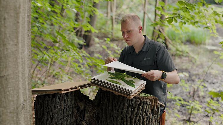 Der Pharmakologe Fabien Schultz ist auf der Suche nach alten Heilkr&auml;utern im Kampf gegen Antibiotikaresistenz.