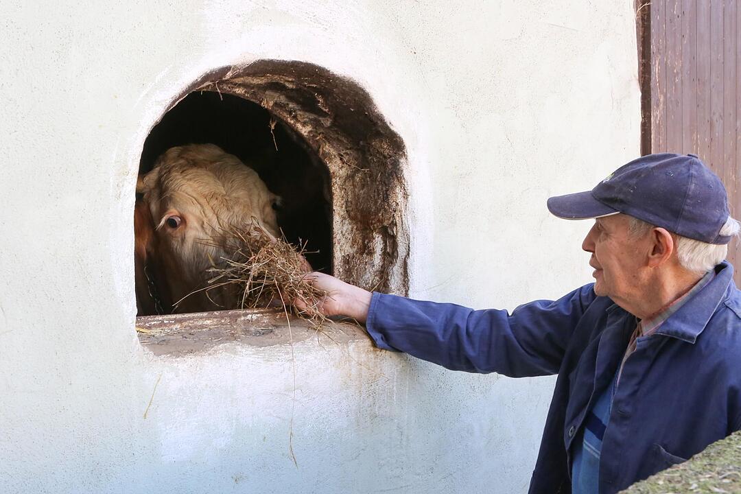 Landwirt Hans Schmidt in Kairlilndach;  Foto: Barbara Herbst