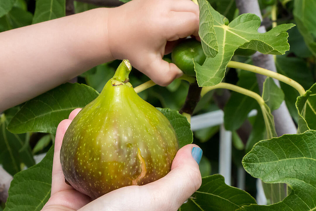 Fotos Konrad Thomann