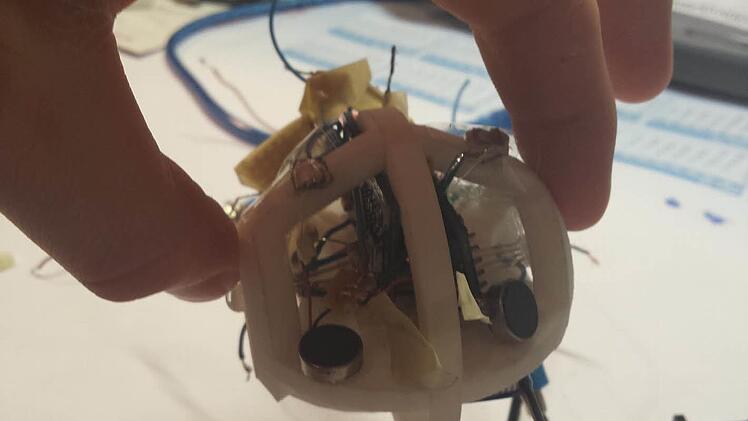 Die 3-D-Computermaus: Entwickelt haben sie die jungen Kulmbacher Hans Schülein, Gabriel Moser und Arthur Kosmala, damals Schüler des Markgraf-Georg-Friedrich-Gymnasiums Kulmbach, die beim Landesentscheid von "Jugend forscht" im Jahr 2015 dafür einen Sonderpreis erhielten. Foto: Archiv/Katharina Müller-Sanke