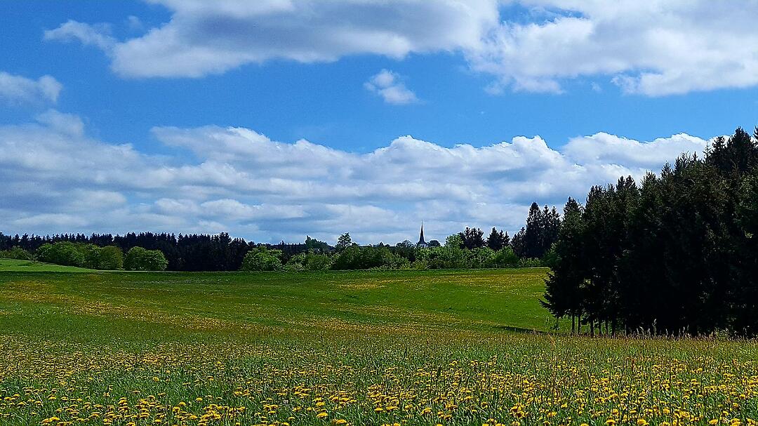 Die schönsten Fotos im Mai aus Kronach und Umgebung