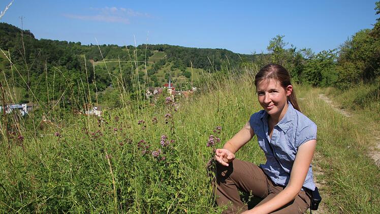 Aglaia Abel bei einer Begehung der Magerrasen oberhalb von Sulzthal. Foto: Ralf Ruppert