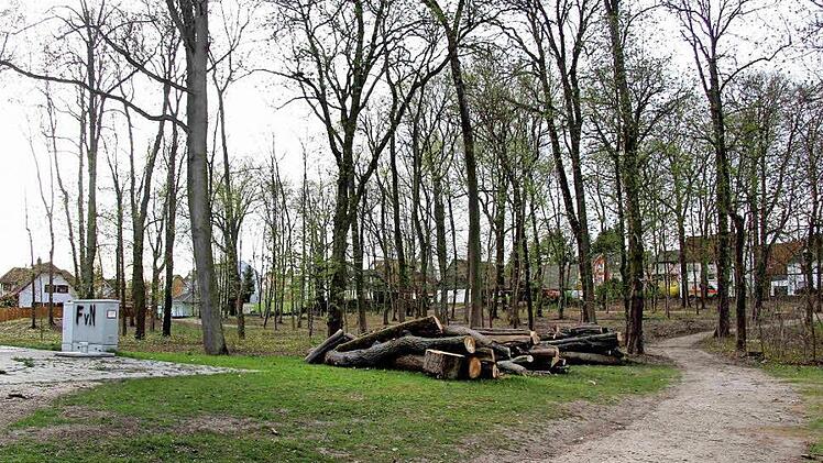 Der Schlosspark, der in Weisendorf in den vergangenen Jahren zusehends verwilderte, soll sich nach den Planungen des Büros Topos Team schon bald wieder als Park mit Spielplatz und Skulpturen präsentieren.  Foto: Evi Seeger