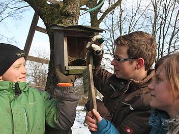 Martin (links), Jan und Hanna säubern die Nistkästen der Meisen. Die heimischen Vögel brauchen Platz und vor allem hygienisch einwandfreie Behausungen. Foto: Gerd Schaar