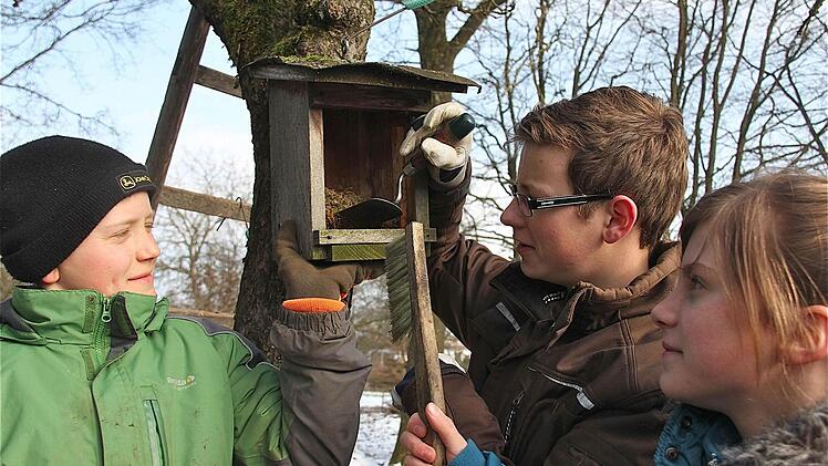 Martin (links), Jan und Hanna säubern die Nistkästen der Meisen. Die heimischen Vögel brauchen Platz und vor allem hygienisch einwandfreie Behausungen. Foto: Gerd Schaar