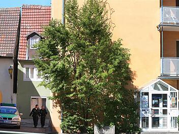 Ein Polizeifahrzeug steht am 19.07.2016 in Ochsenfurt (Bayern) in einer Stra&szlig;e neben einem Kolping-Heim (r). Am Montagabend war ein 17 Jahre alter Afghane, der als Fl&uuml;chtling in dem Heim gelebt hatte, mit einer Axt und einem Messer auf Fahrg&auml;ste in einem Regionalzug bei W&uuml;rzburg-Heidingsfeld losgegangen. Vier Menschen wurden schwer verletzt, ein weiterer leicht. Die Polizei erschoss den Angreifer als er fl&uuml;chtete. Foto: Bastian Benrath/dpa +