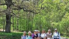 Die Senioren und Seniorinnen auf der ersten Wanderung.