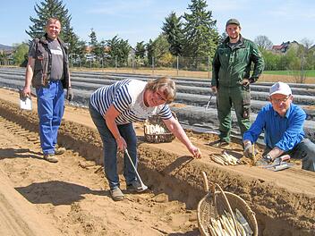 Spargelernte der Spargelgemeinschaft Hirschaid (von links): Michael B&uuml;ttel, Brigitte B&uuml;ttel, Heinrich Ott und Hans Ott  (Foto: Christian Kraus)