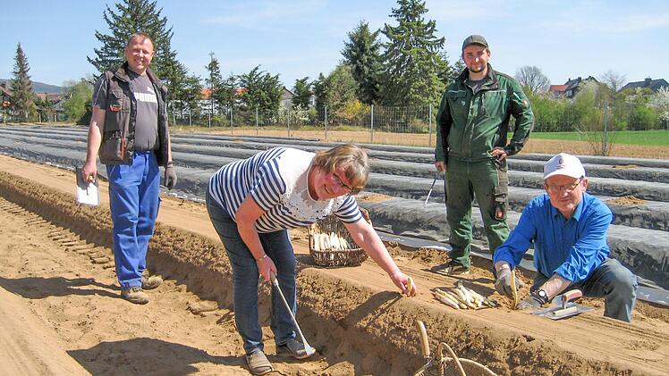 Spargelernte der Spargelgemeinschaft Hirschaid (von links): Michael B&uuml;ttel, Brigitte B&uuml;ttel, Heinrich Ott und Hans Ott  (Foto: Christian Kraus)