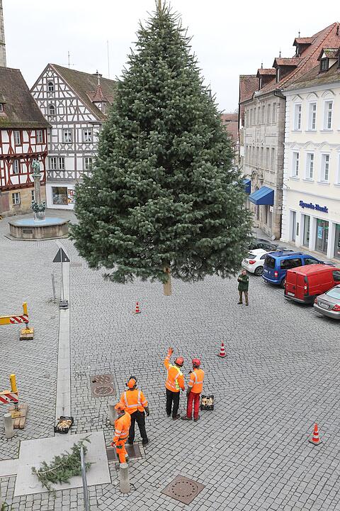 Christbaum kommt aus Schlaifhausen  auf den Forchheimer Rathausplatz