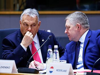 Viktor Orban und Robert Fico