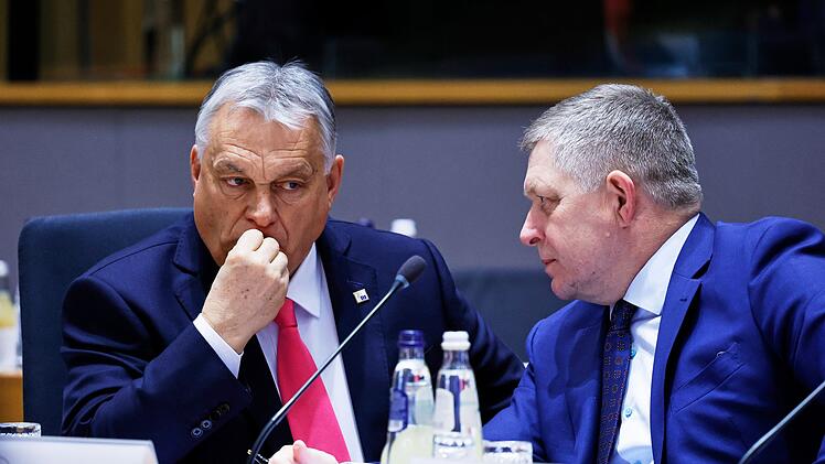 Viktor Orban und Robert Fico