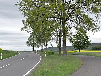 Ein neuer Radweg soll zwischen Reckertshausen und Friesenhausen nördlich der Staatsstraße entstehen. Der bestehende Parkplatz soll integriert werden. Der Hofheimer Stadtrat sprach sich für das Projekt aus.