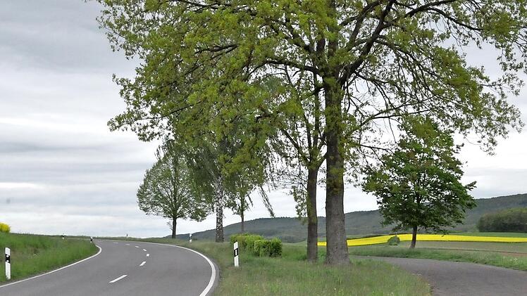 Ein neuer Radweg soll zwischen Reckertshausen und Friesenhausen nördlich der Staatsstraße entstehen. Der bestehende Parkplatz soll integriert werden. Der Hofheimer Stadtrat sprach sich für das Projekt aus.