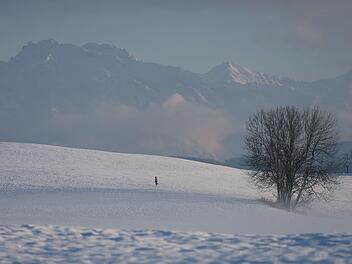 Abendliche Winterlandschaft