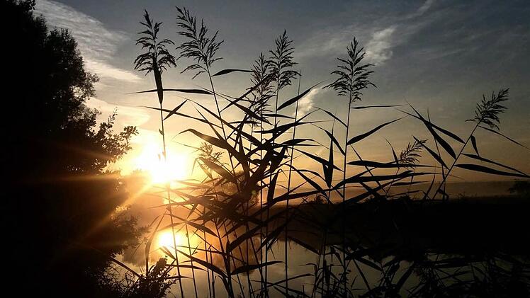 Das nasskalte Wetter der vergangen Tage hat vorerst ein Ende. Der Goldene Oktober kommt nach Franken und bringt sommerliche Temperaturen mit. Foto:Ronald Rinklef