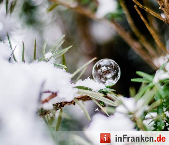Eis und Schnee in Franken - die schönsten Winterleserfotos