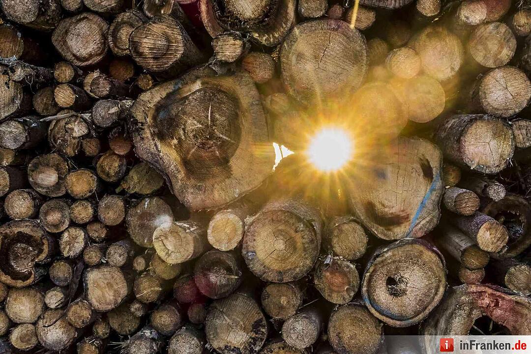 Leserbilder: Sommerliches Franken im März