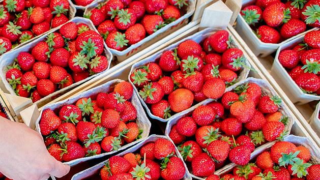 Deutsche Erdbeeren im Supermarkt kaufen