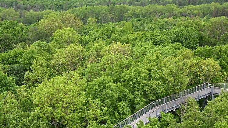 Ausflüge in Deutschland: Diese 16 Nationalparks solltest du kennen 