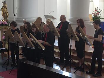 Die Veeh-Harfen-Gruppe aus Nüdlingen spielte zur Maiandacht in der Pfarrkirche Mariä Himmelfahrt in Bad Neustadt.  Foto: Regina Rinke