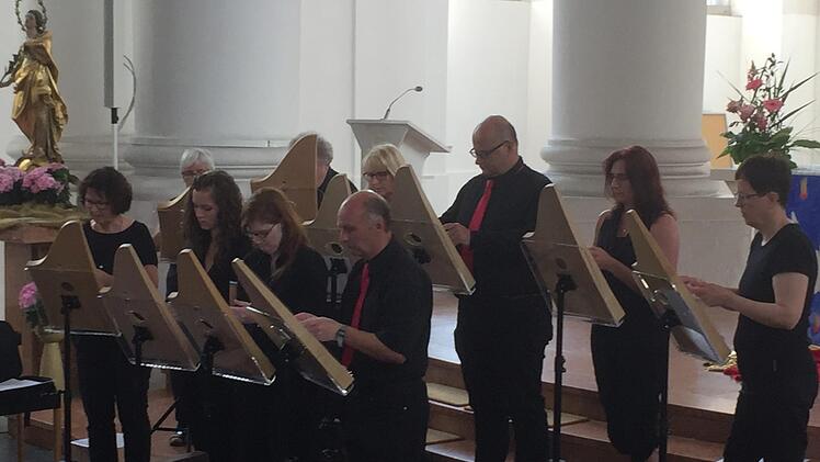 Die Veeh-Harfen-Gruppe aus Nüdlingen spielte zur Maiandacht in der Pfarrkirche Mariä Himmelfahrt in Bad Neustadt.  Foto: Regina Rinke