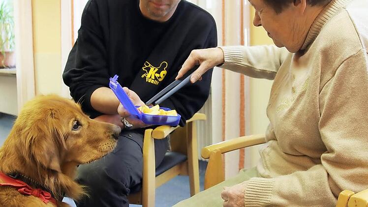 Golden-Retriever-Hündin Lupita lässt Kunigunda Hecke nicht aus den Augen.