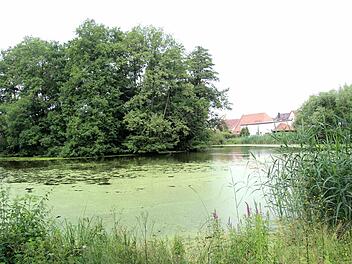 Der Badweiher liegt mitten in Weisendorf und soll neu gestaltet werden. Foto: Richard Sänger
