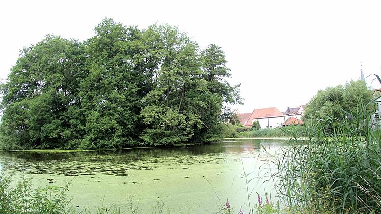 Der Badweiher liegt mitten in Weisendorf und soll neu gestaltet werden. Foto: Richard Sänger