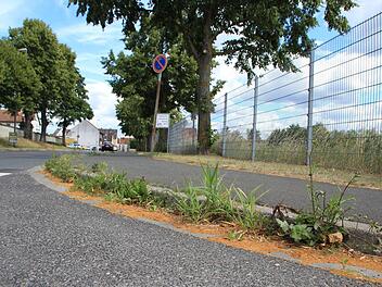 Manche mögen das Grün am Straßenrand vor dem Altbürgermeister-Grundstück ganz nett finden, die Gemeinde Mühlhausen jedoch nicht.   Foto: Andreas Dorsch