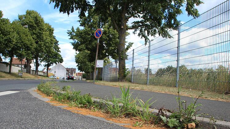 Manche mögen das Grün am Straßenrand vor dem Altbürgermeister-Grundstück ganz nett finden, die Gemeinde Mühlhausen jedoch nicht.   Foto: Andreas Dorsch