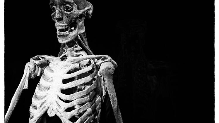 Die Ausstellung "Körperwelten - eine Herzenssache" wird noch bis zum 11. Februar im Quelle-Areal in Nürnberg gezeigt. Foto: Matthias Hoch