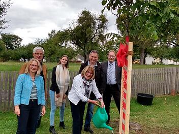Einen Walnussbaum für die scheidende Kindergartenleiterin Waltraud Blum (Mitte.) pflanzten (von links) Vize-Bürgermeisterin Elisabeth Assmann, Edwin Fella, Maria Pfaff, Bernd Hüfner und Stadtpfarrer Thomas Eschenbacher.  Foto: Volker Fella