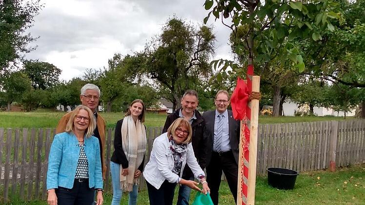 Einen Walnussbaum für die scheidende Kindergartenleiterin Waltraud Blum (Mitte.) pflanzten (von links) Vize-Bürgermeisterin Elisabeth Assmann, Edwin Fella, Maria Pfaff, Bernd Hüfner und Stadtpfarrer Thomas Eschenbacher.  Foto: Volker Fella