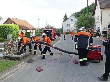 Die Albertshofer Aktiven überzeugten bei der Leistungsprüfung mit ihrem Können. Foto: Paul Pöhlmann