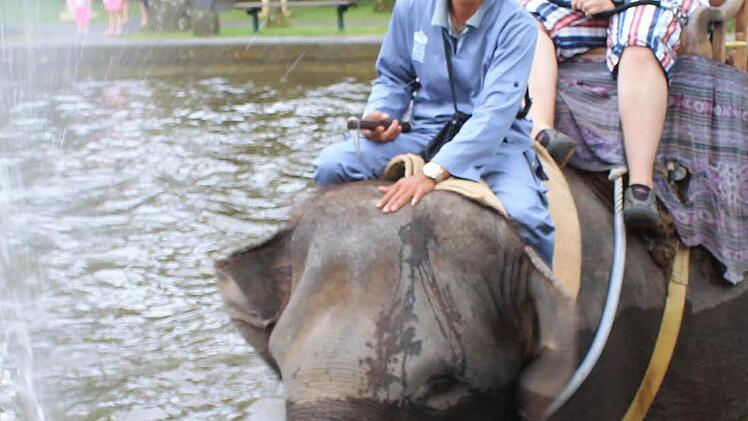Marcus und Freundin Jessica hoch zu Elefant.