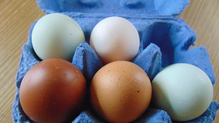 Foto: Petra Malbrich