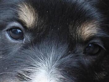 Symbolbild Foto: Archiv