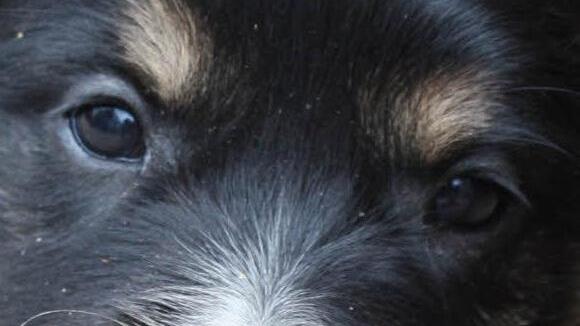 Symbolbild Foto: Archiv