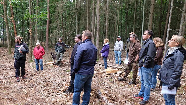 Die Waldbegehung des Gemeinderats von Thundorf fand noch vor dem Lockdown statt. Foto: Philipp Bauernsschubert