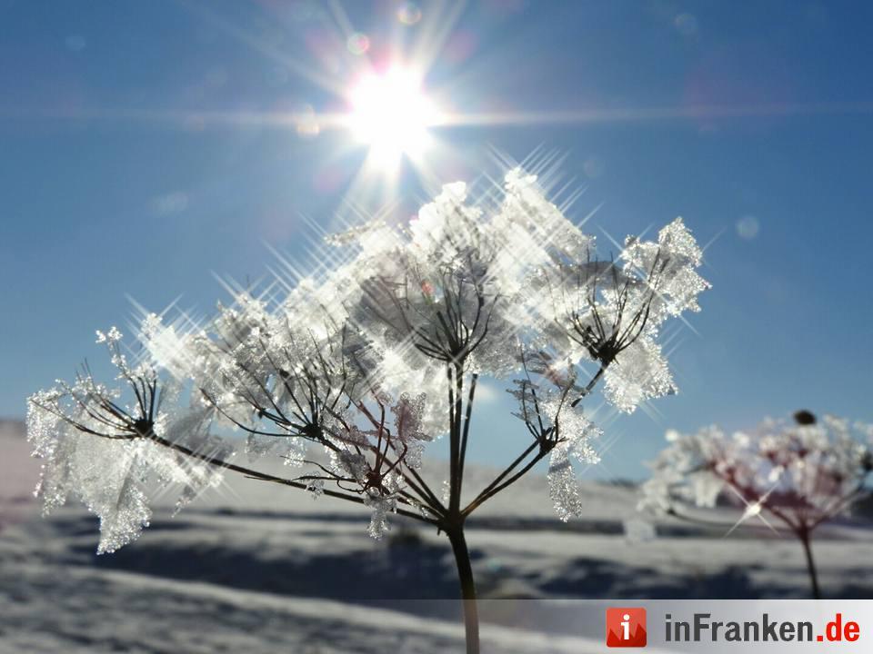 Eis und Schnee in Franken - die schönsten Winterleserfotos