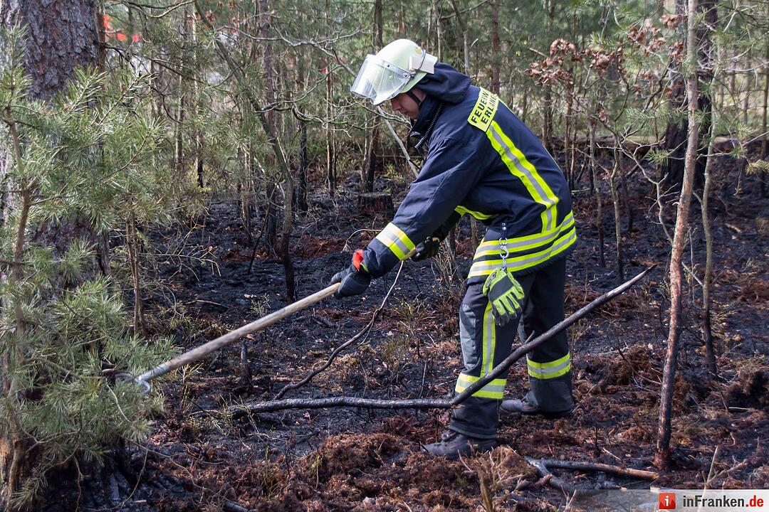 3000 Quadratmeter Waldboden standen in FlammenFeuerwehr hatte Lage schnell unter Kontrolle – Feuerwehr gibt Tipps für richtiges Verhalten im Wald aufgrund der Waldbrandgefahr