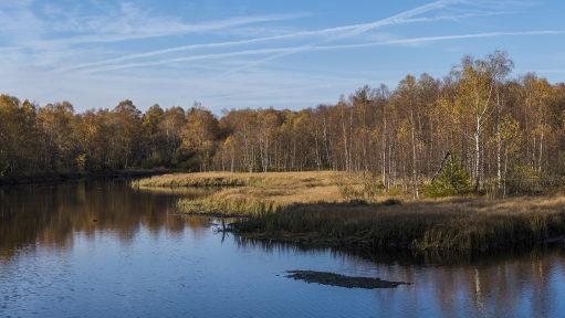 Der Moorweiher im Roten Moor. Foto: Jürgen Hüfner
