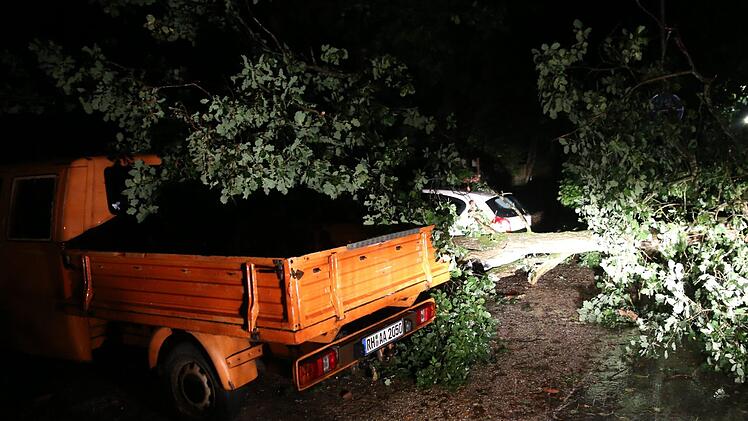 Zahlreiche Bäume stürzten beim Unwetter um, wie hier in Schwabach in Mittelfranken. Foto: NEWS5 / DESK
