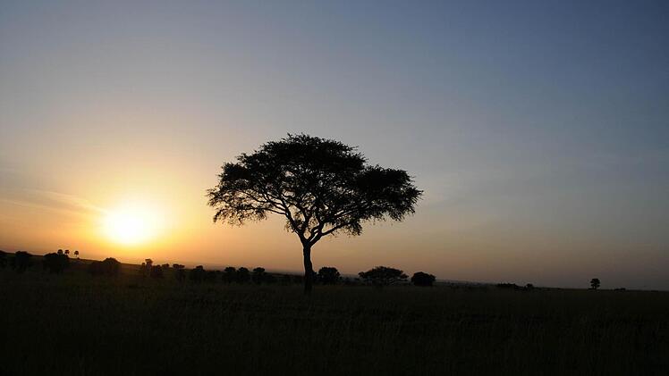 Im Murchison Falls National Park Foto: Stefan Reinmann