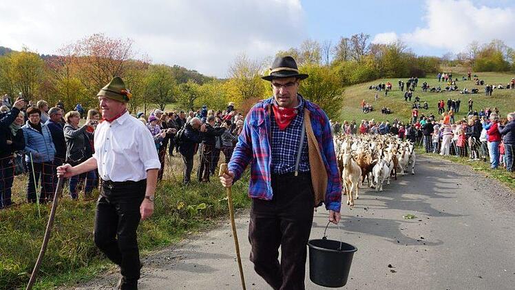 Weideabtrieb in Ginolfs. Foto: Marion Eckert