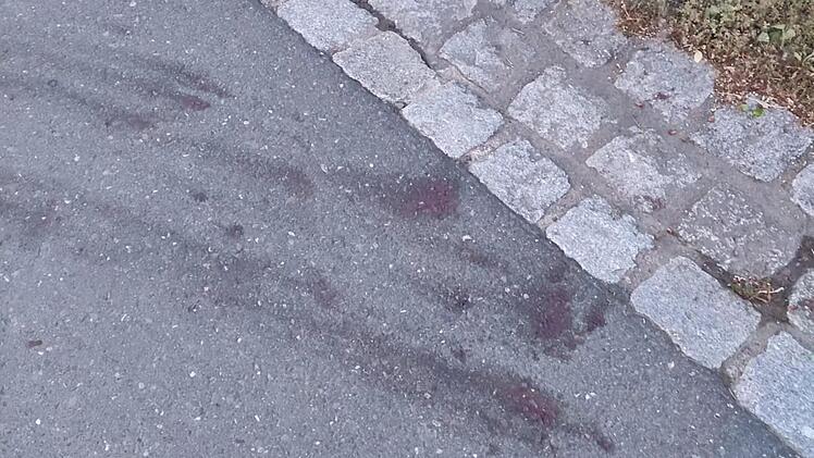 Ludwigschorgast: Erst wird sein Kater überfahren - dann passiert Mann (63) ein Unfall