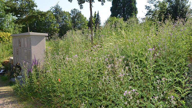 Eindrücke vom Garitzer Friedhof. Foto: Peter Rauch