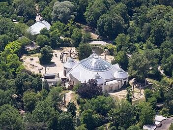 "Die Sensation ist perfekt": Bayerischer Zoo bekommt bald Mega-Attraktion